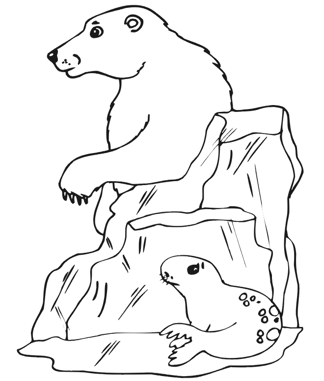 Plansa de colorat cu Foca 23 16